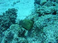 ���������� ������