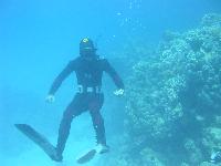 ������� 17�, �������, ����-�� �� �������...