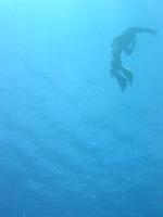 ���-����