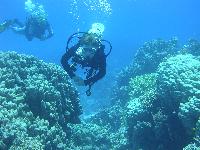 ��� ��������