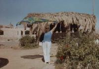 �� ������ ��������! (�������, ��� 2004�., ����� �Sea Garden�).