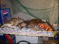 ��������� ����!