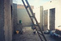 ���� �� �����