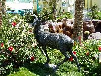 "Grand Azur Horizon"