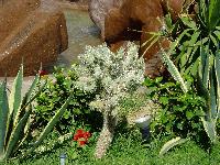 "Grand Azur Horizon"