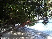 ������ �� ������