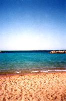 ������ ����.