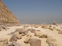 � ���� ������