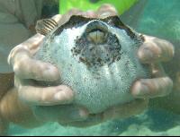 �������.