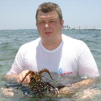 ����� ����������