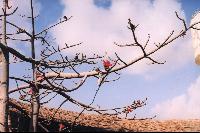 �������� �������