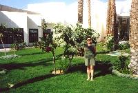 ����� "Long bech"