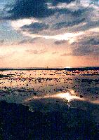 ����� �� ������� ���������