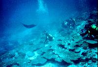 ����� ������ � ��������