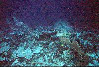 �������, ����������� �������