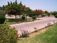 ����������