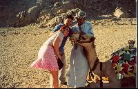 ������� � ���������