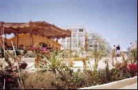 ��� � �����