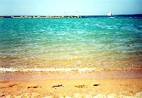 ��������� ����..