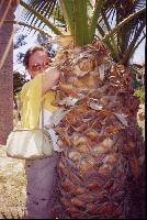 � ������� - � �����������