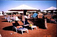 Melia Pharaon. ����.