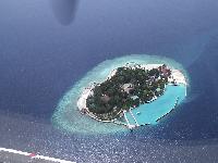 �����  ��� ����������� ������