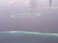 ������ (��������)