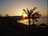 ������� � ������� ������ ������ �����