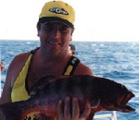 ������� � ������