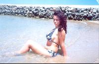 ���� Desert rose