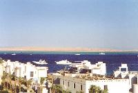 ����� "Sea Gull"