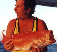 ������� � ������ � �������� ������� ����