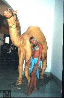 ���� � ��������