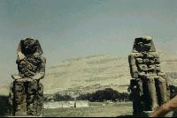 ������ (1)