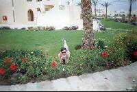 ���������� Le Meredian