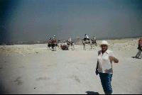 ����, � �������� �������