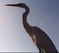 ������� ������