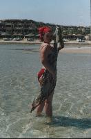 ������ ������