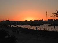 SunRise �����