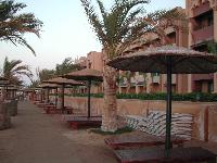 SunRise ����