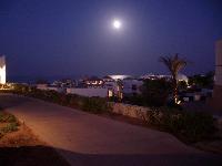 ������ �������