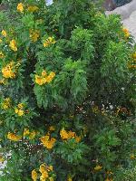 ������ � SunRise Palasio