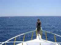 ����, ������ � ����...