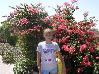 ���� ���� � ��������