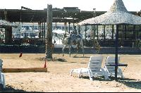 ������� �� �����