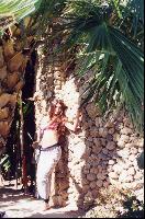 ������� � �����