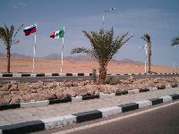 ������� ������ �����