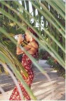 �����-��������