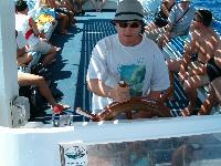 ������� ���������� ��������