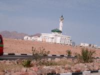 ������ � �����